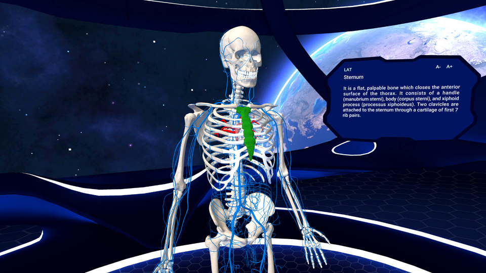 human anatomy vr ps4 review