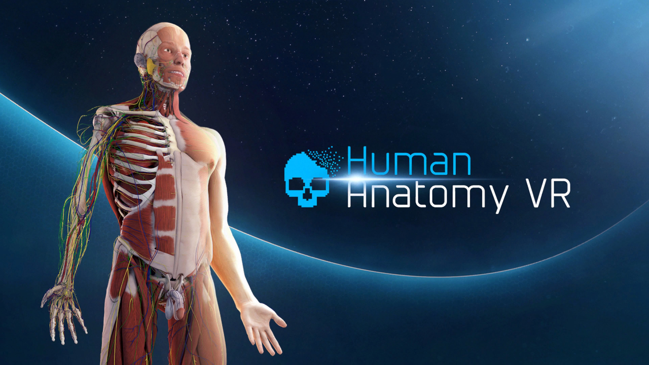 virtual tour inside human body